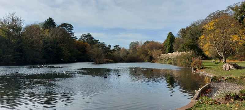 Bushy Ruff Lake
