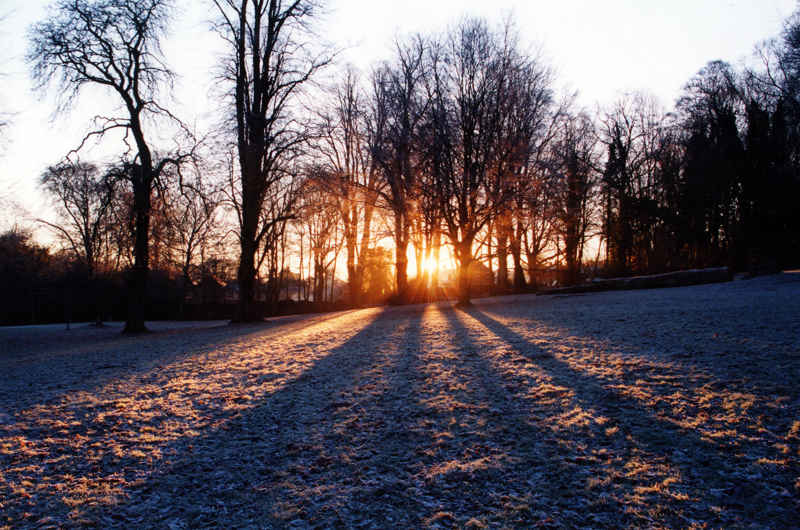 Winter early morning sunrise