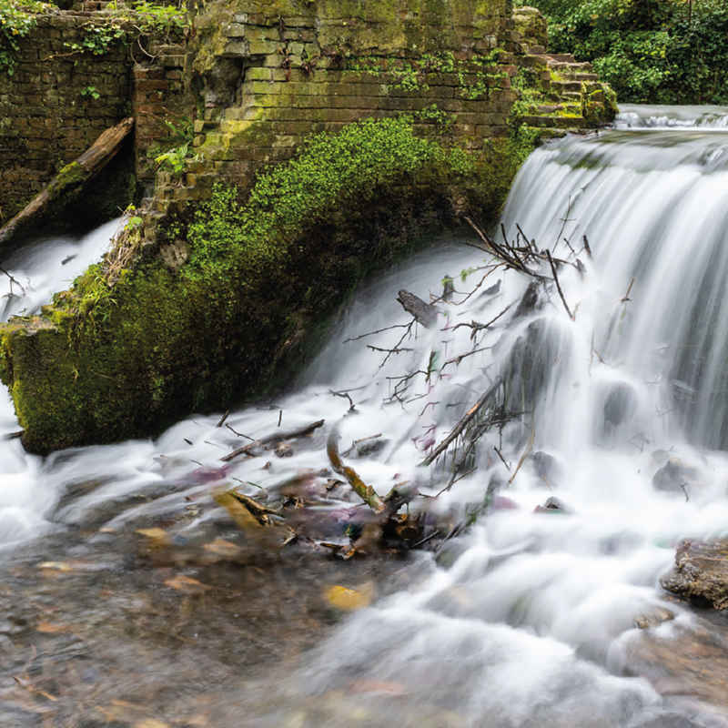 April 2025 - Mill End Waterfall Kearsney Abbey