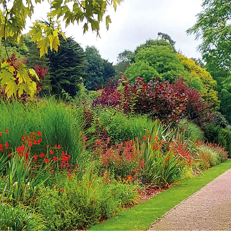 July - Grand Border - Russell Gardens