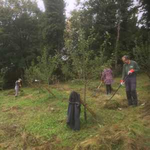A photos of volunteers who are working in the orchard in Russell Gardens. They are raking up piles of cut grass which will be left as wildlife habitats. 