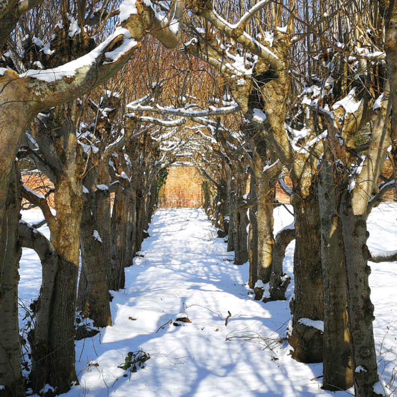 January 2025 - Lime Avenue - Russell Gardens