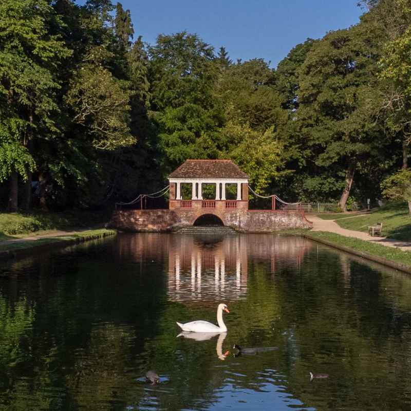 A photograph of the ornamental pond, situated in Russell Gardens.