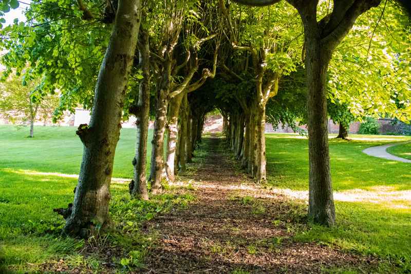 Lime avenue Russell Gardens