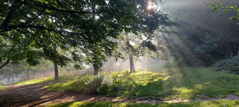 Autumn in Kearsney Parks